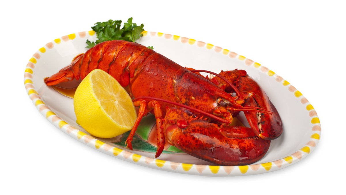 How Are You Celebrating National Lobster Day? NBC Boston