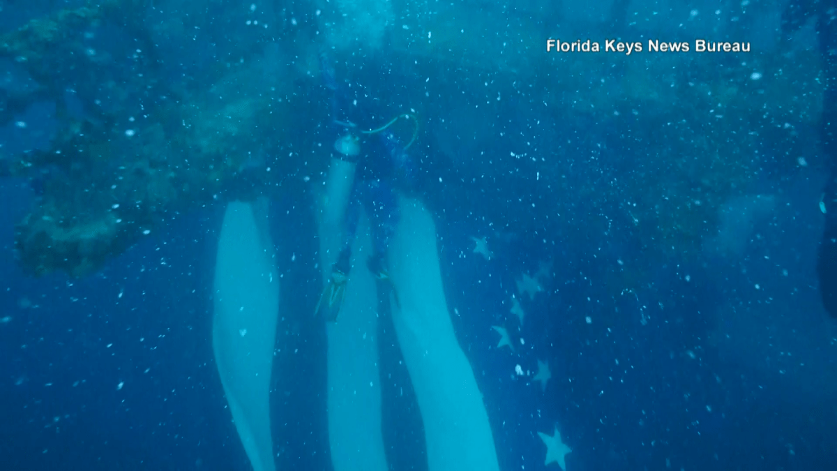Divers Install Underwater Flag in Honor of 9/11 NBC Boston