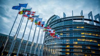 The flags of the EU member states in front of the European Parliament in Strasbourg, France