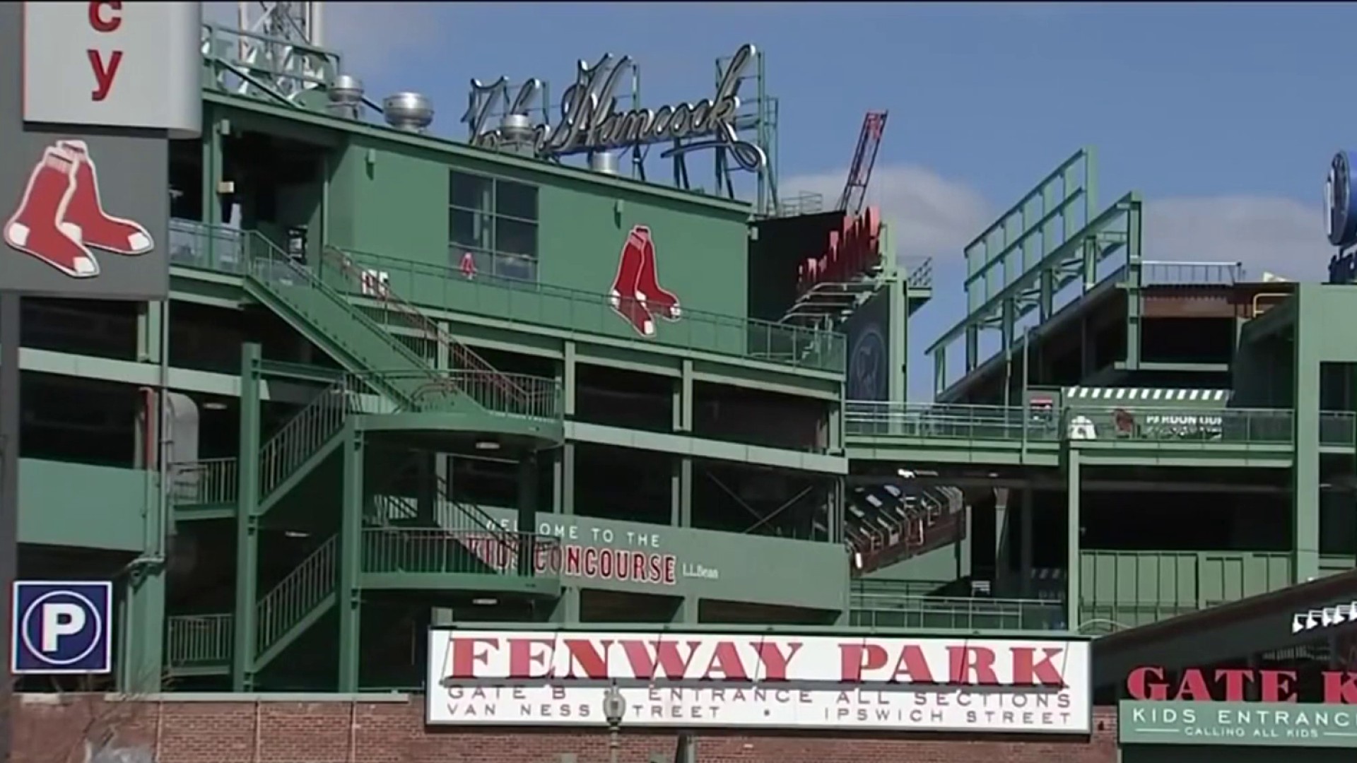 Yankees' Pet Turtle, Bronxie, Travels to Fenway for Wild Card Vs Red Sox