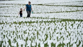 white flags on the Mall near the Washington Monument