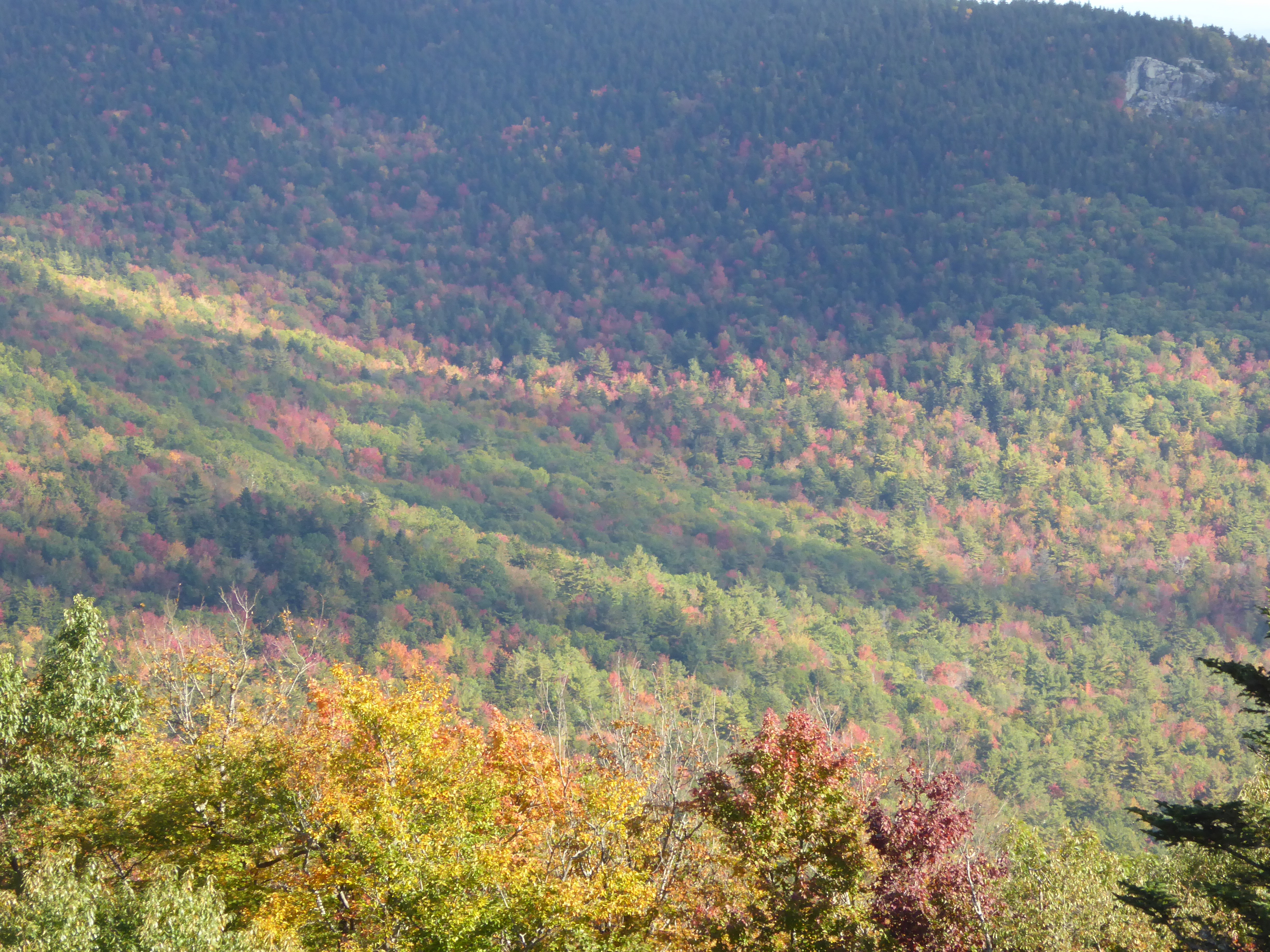 Fall Foliage Map 2021 Your LeafPeeping Tracker for Massachusetts, New