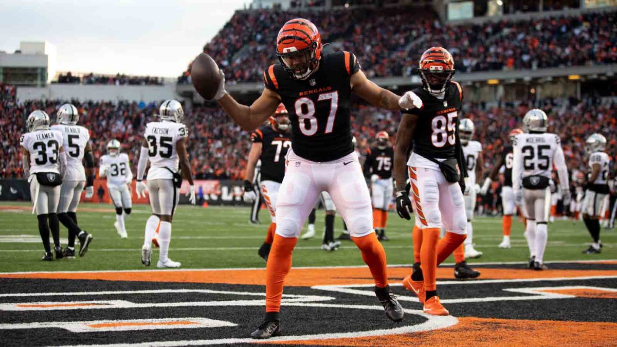 Bengals Defeat Raiders for First Playoff Win Since 1991 – NBC Boston