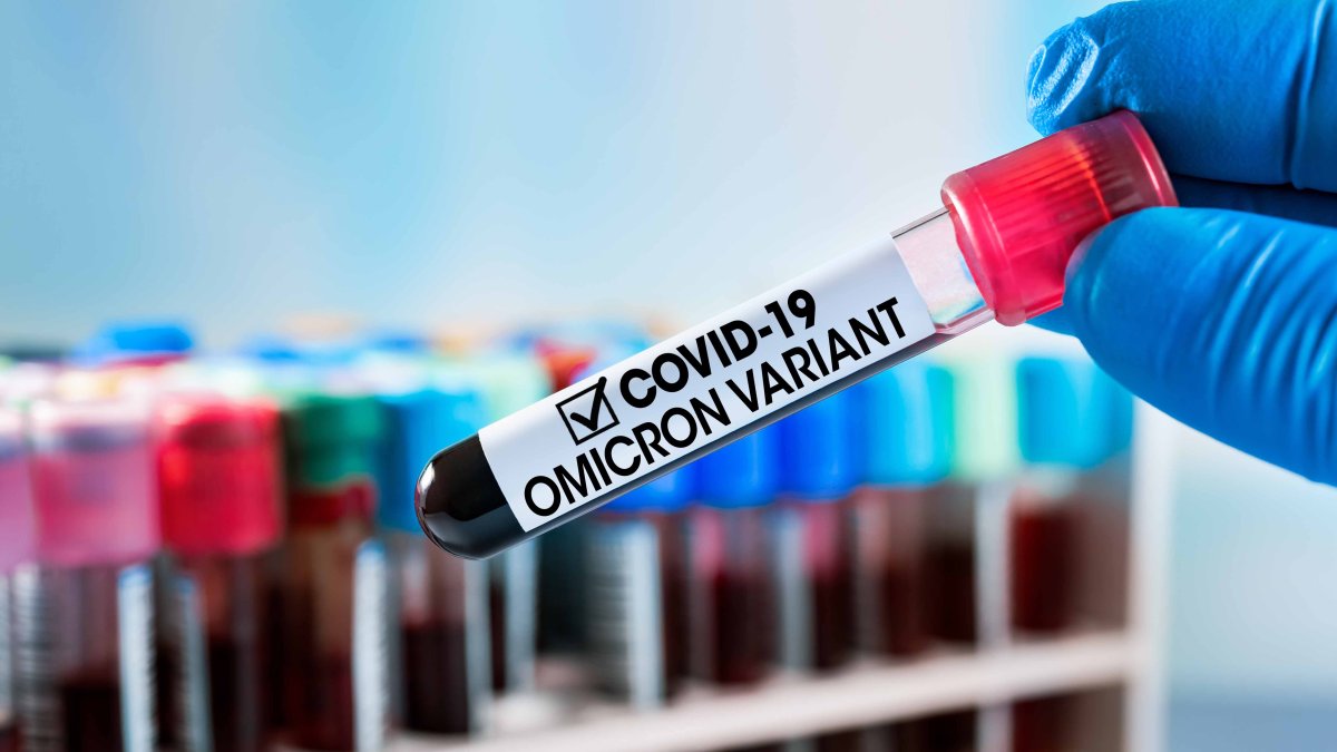 When Will Omicron Peak in Massachusetts? Experts Say in January NBC