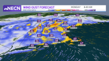 A map showing expected wind gusts on Monday morning, Jan. 17, 2022.