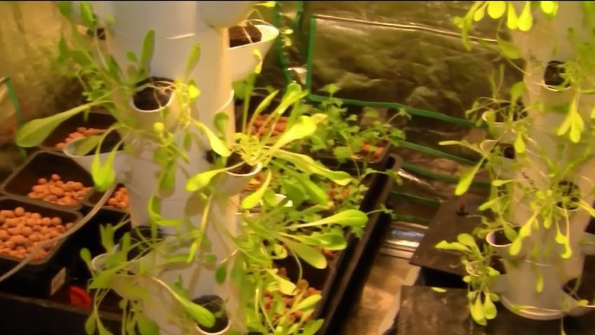 Worcester Man's Innovative Way to Fight Food Insecurity