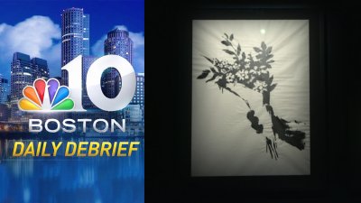 What to Expect at ‘The Art of Banksy' in Harvard Square