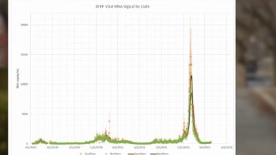 ‘New Normal': Where We Are in the COVID Pandemic