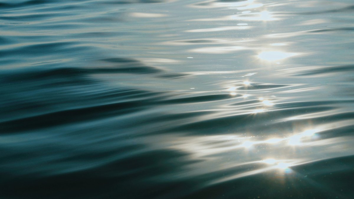 New Jersey man dies while scuba diving off Cape Cod