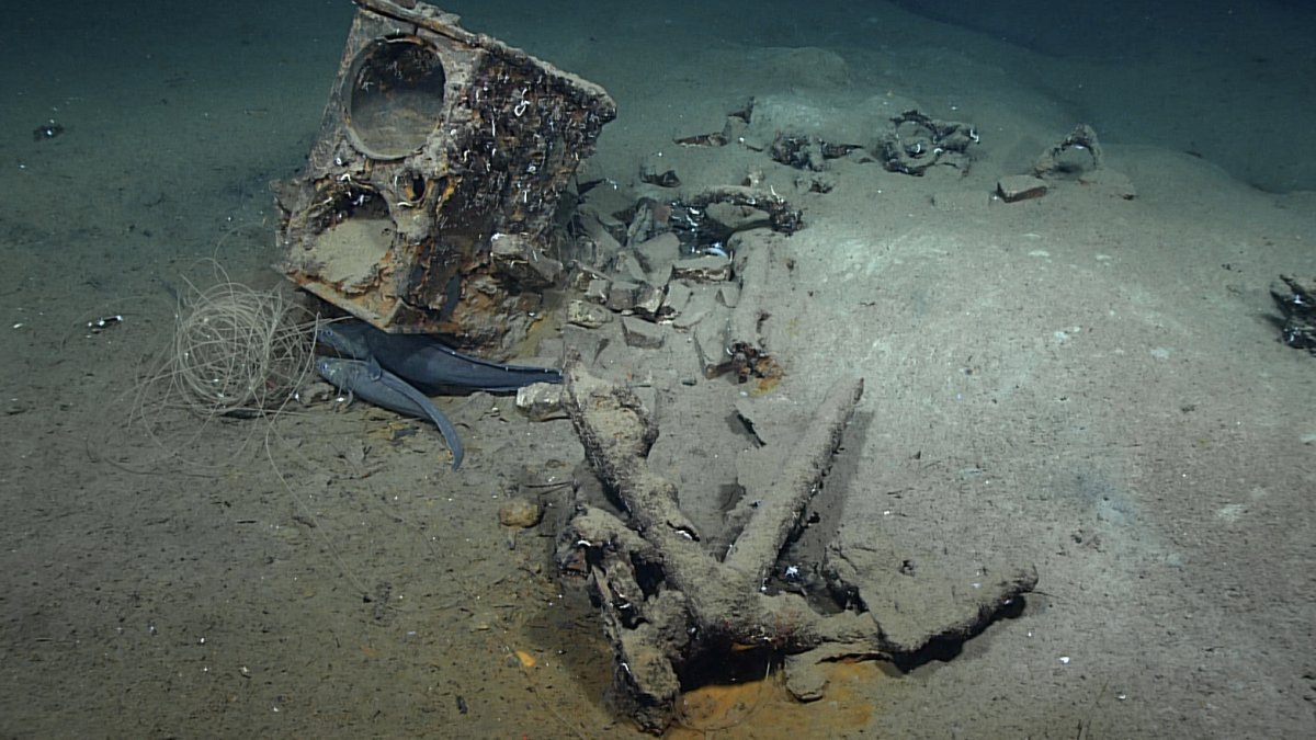 Wreck of Massachusetts Whaling Ship Industry Discovered Nearly 190 ...