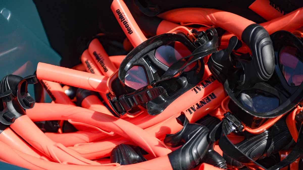 Hawaii Search Ends for Snorkeler Missing After Shark Spotted NBC Boston