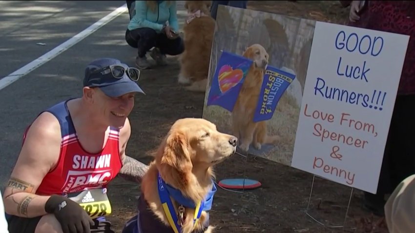 Therapy Dogs Spencer and Penny Support Runners Along Boston Marathon Route