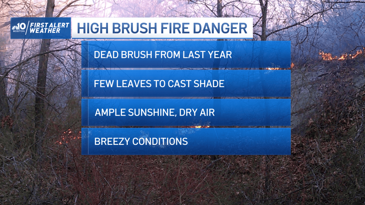 Pollen, Brush Fire Danger Highlight Weekend Weather – NBC Boston