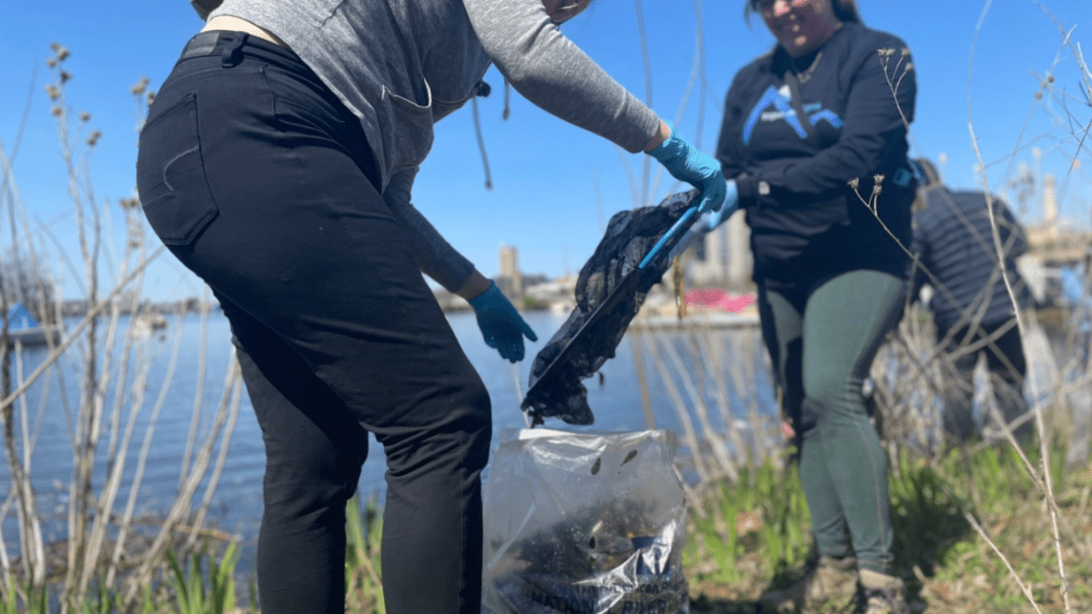 Hundreds Volunteer for Charles River Earth Day Cleanup – NBC Boston