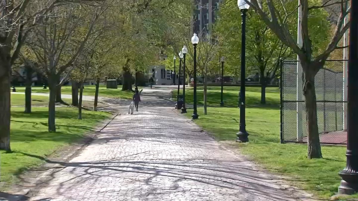 Boston Common Assault: Group of Kids Accused in Attack on Suffolk ...