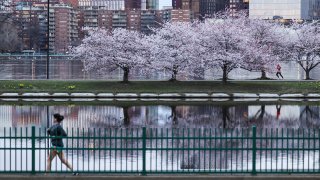 The Charles River Esplanade in Boston