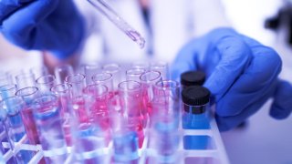 A file photoillustration of a lab technician doing research with a microscope in the lab