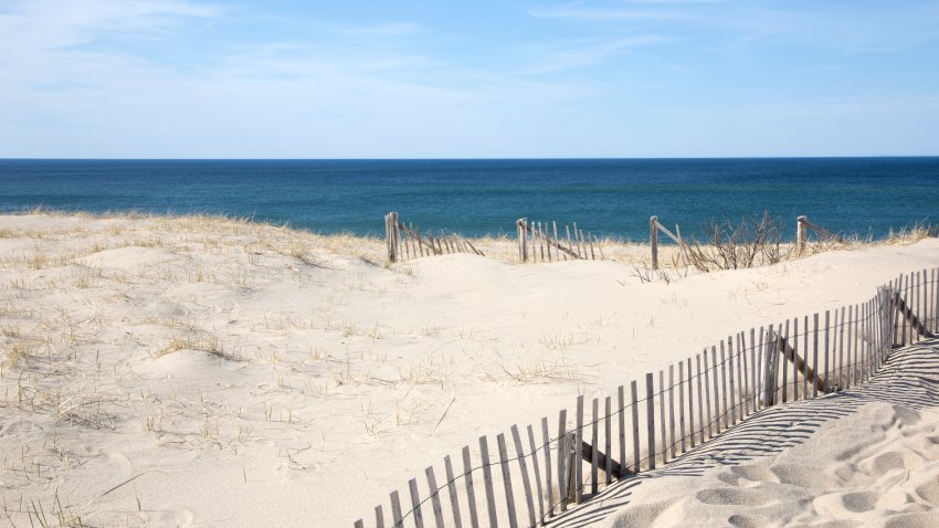 Cape Cod beach area,  san fences.