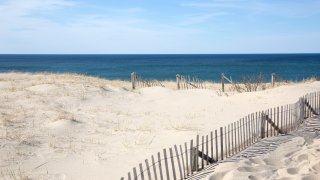 Cape Cod beach area, san fences.