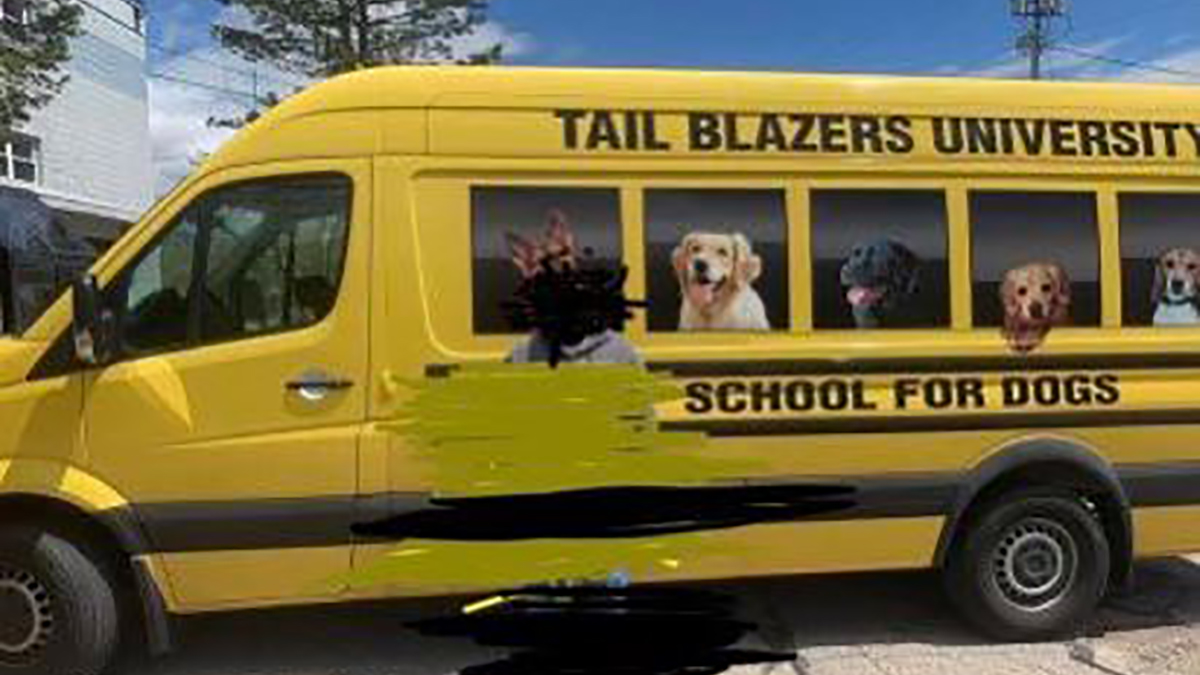 Tail Blazers University Dog Training School Van Stolen With Dogs