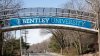 Massachusetts university lays off 173 dining workers