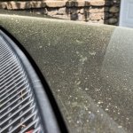 Pollen settled on a car in the Boston area Tuesday, May 31, 2022, after clouds of pollen were released by strong wind gusts moving through Massachusetts.