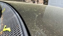 Pollen settled on a car in the Boston area Tuesday, May 31, 2022, after clouds of pollen were released by strong wind gusts moving through Massachusetts.