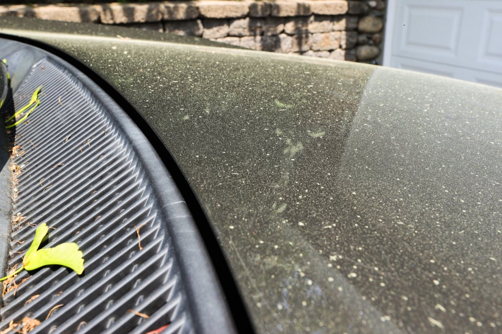 Pollen settled on a car in the Boston area Tuesday, May 31, 2022, after clouds of pollen were released by strong wind gusts moving through Massachusetts.