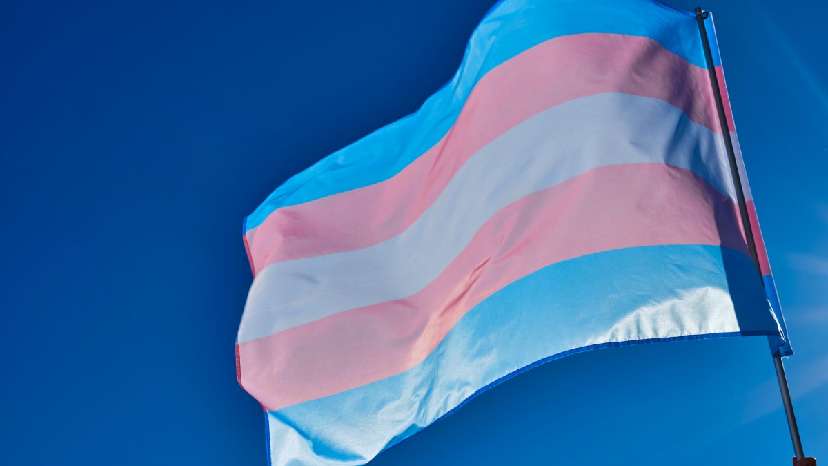 Transgender-Flagge im Wind