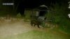 Brockton Family Shocked After Bear Caught on Camera in Their Backyard