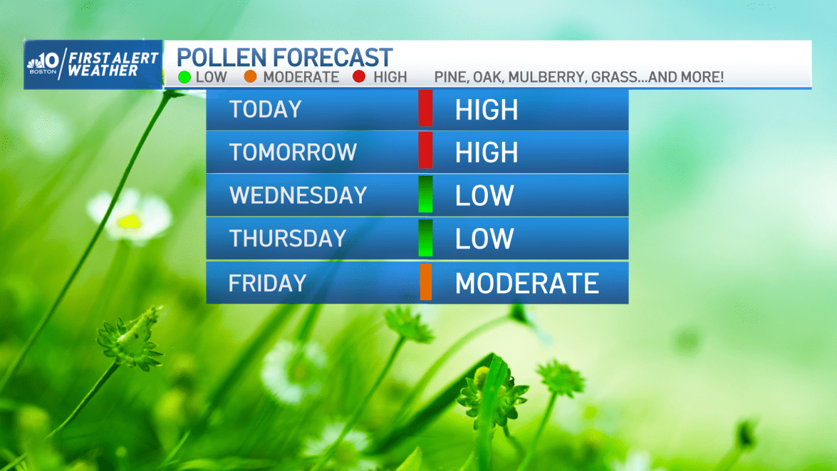 Still Seeing Pollen Clouds in MA? Here’s Why – NBC Boston