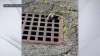 Caught on Camera: Trapped Raccoon Rescued From Grate in Malden