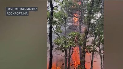 Several Brush Fires Burning at Breakheart Reservation in Saugus
