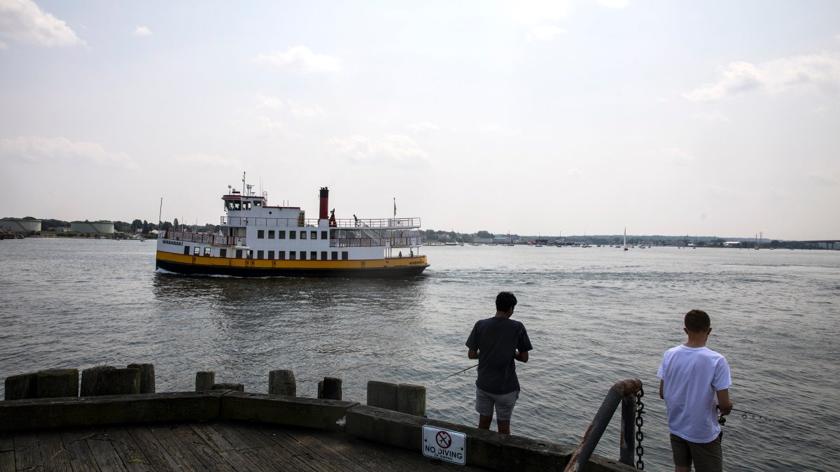 Maine Ferry Trips Getting Canceled Due to Staffing Shortages - Vimarsana News