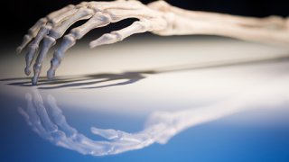 The hand and forearm of a replica skeleton, spot lit with shadow and reflection falling across a desk