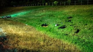 Aftermath of a fatal motorcycle crash in New Hampshire