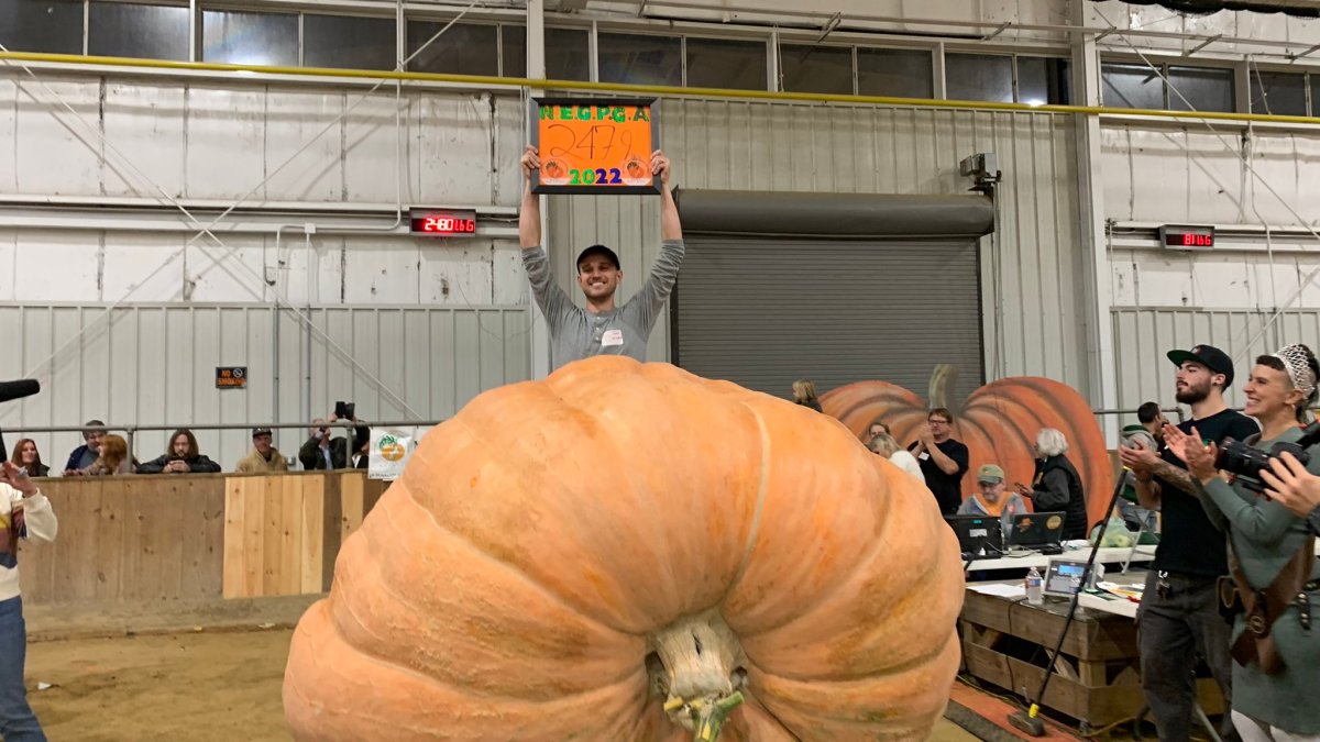 Topsfield Fair Giant Pumpkin WeighOff NBC Boston