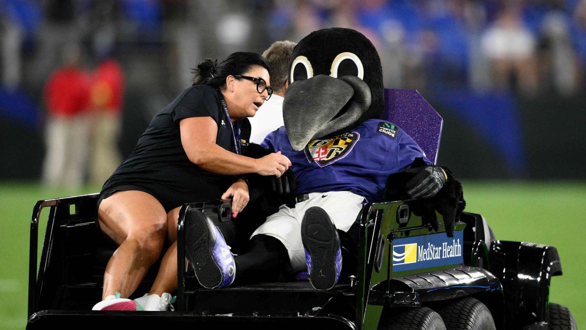 Ravens Mascot Poe Lands on Injured Reserve With ‘Drumstick’ Injury