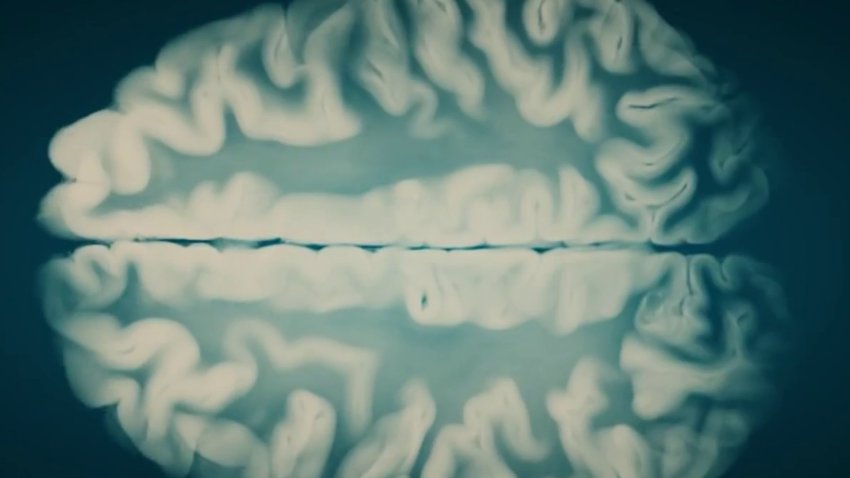 Hispanic Heritage Month: Fighting Alzheimer's