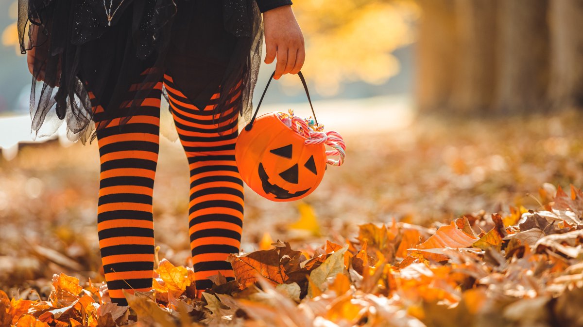 Why Do We Celebrate Halloween? The Intriguing History Behind the Holiday