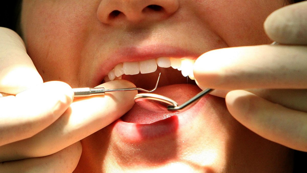 Question 2 Massachusetts 2022: 13 Lawmakers Back Dental Care Question – NBC Boston - Vimarsana News