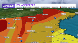 fall foliage report