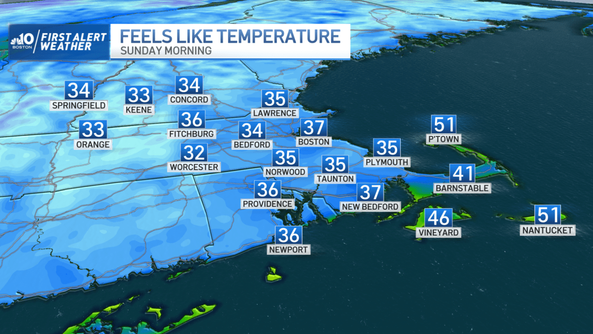New England Wakes Up to Widespread Frost NBC Boston
