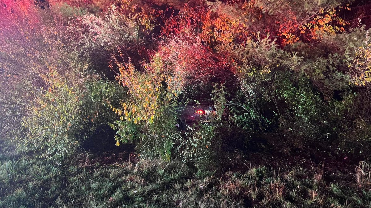 Do You See It?' Passerby Spots Crashed Car Hidden in the Woods
