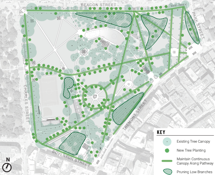 Diagram shows where new tree plantings are proposed at the Boston Common
