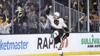 Bruins Set Impressive NHL Record by Extending Perfect Home Record