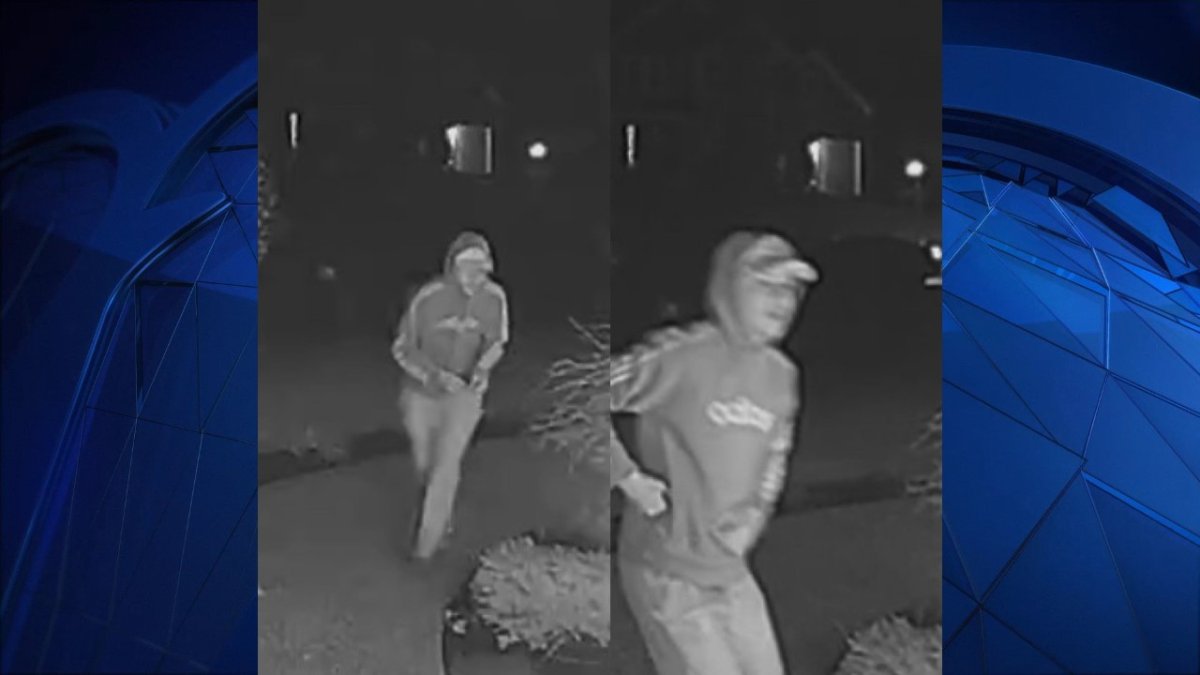 Police in Tewksbury Asking the Public to Help Identify a Vandalism Suspect