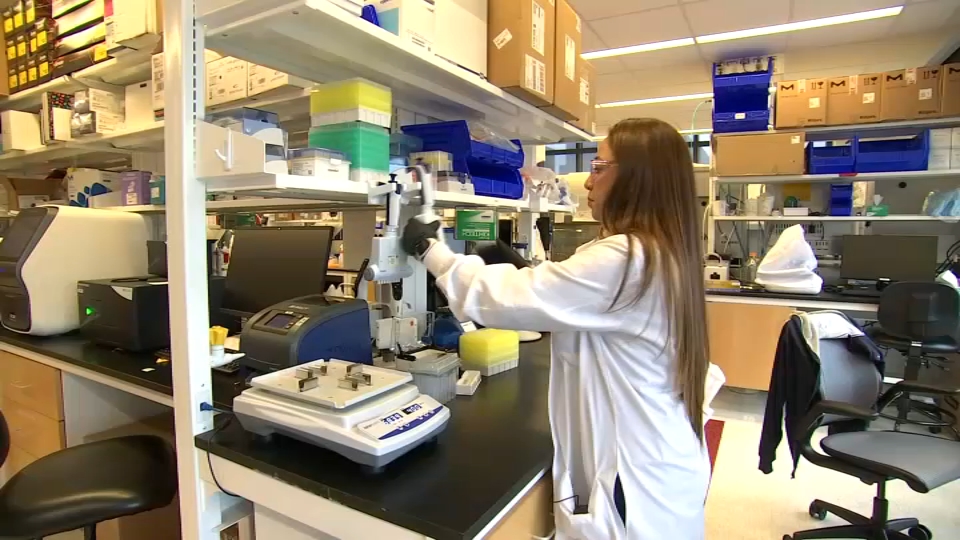 LabCentral Ignite Offers Opportunities in Biotechnology NBC Boston