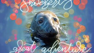 The cover for Shoebert's Great Adventure