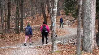 Two hikers head up a trailhead of Great Blue Hill